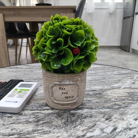 Travelers Tranquil & Chillout Apt Appartamento Atene Esterno foto